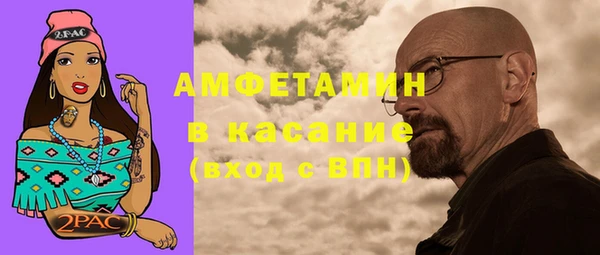 дживик Верхний Тагил