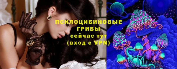 прущая мука Верея
