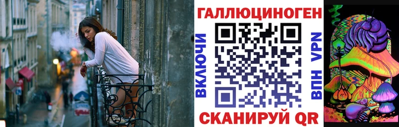 что такое   Высоцк  Галлюциногенные грибы Psilocybine cubensis 